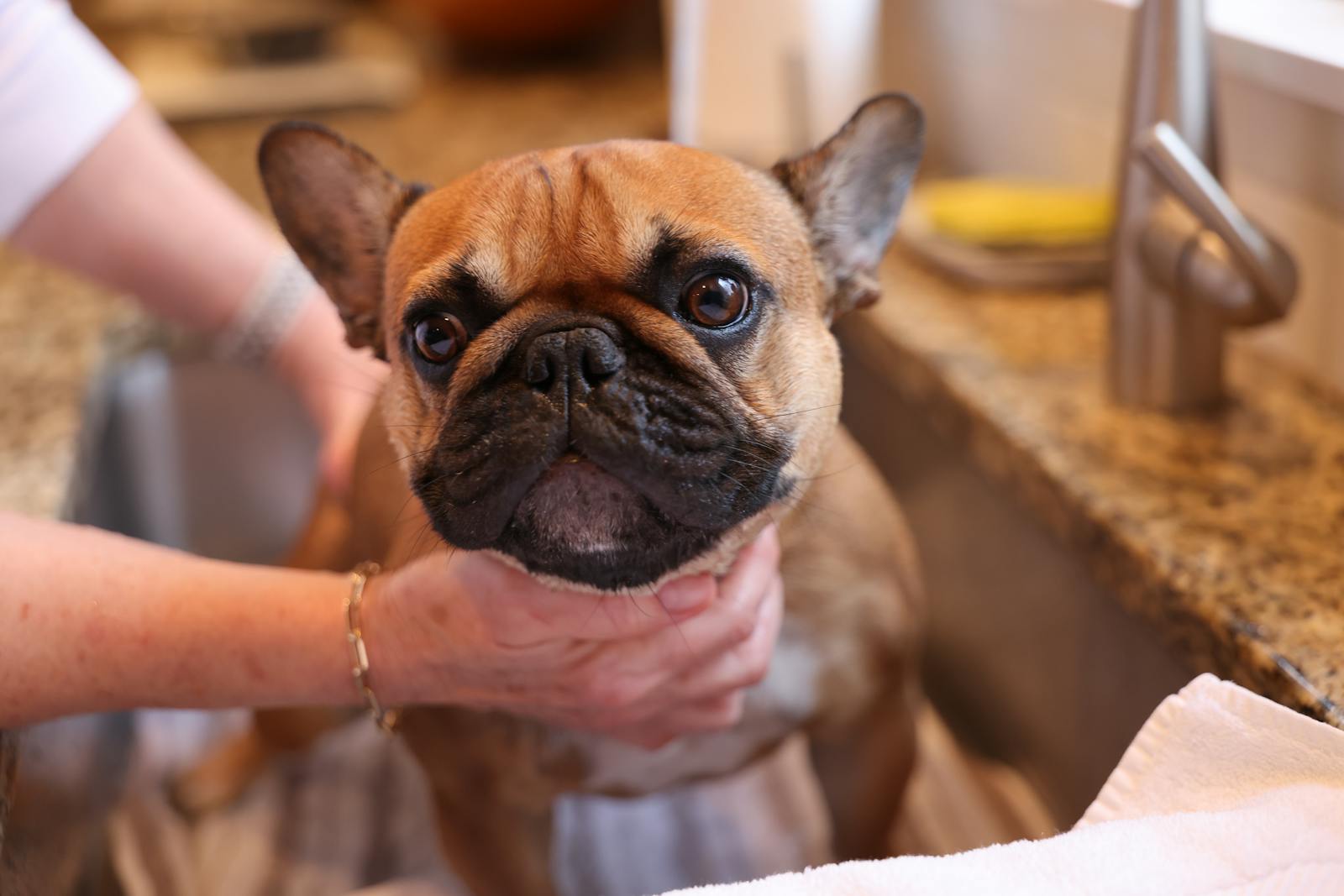 Wally. Bath Time. March 23, 2024