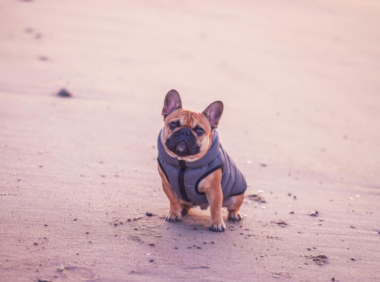 Wally. 7am. April 8 2024. Cove Island Park, Stamford, CT